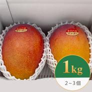 早切り摘果マンゴー1kg ｜ 果物/マンゴー 産直アウル 農家・漁師など