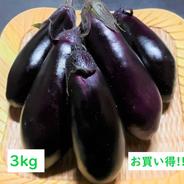 【訳アリ】  南国高知でつくった高知なす♪ 3kg なす 3kg（30本～36本） 果物や野菜などのお取り寄せ宅配食材通販産地直送アウル