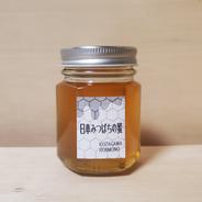 2025年産[巣箱1.2]日本みつばちの蜜1000g(500g×2本) 和歌山古座川産