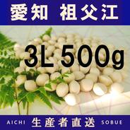 2026年新物！ 愛知県 祖父江産 久寿 銀杏 ぎんなん 3L 2kg ☆秋の味覚