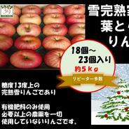 青森県産りんご 糖度13%以上 自然りんご栽培葉とらずサンふじ「限定