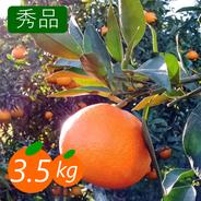 ゼリーのようなプルプル食感】まどんな 2kg【家庭用】 ｜ 果物