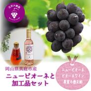 P-WN　花笑み農園　ピオーネと加工品セット（ピオーネワイン＆飲む酢） ピオーネ1房＋2本セット（ワイン、飲む酢　各1本） 果物や野菜などのお取り寄せ宅配食材通販産地直送アウル