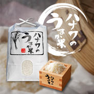 最終日:正月お餅予約】のし餅 5kg(1kg×5枚) | 米・穀物/餅 産直アウル