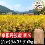 新米【玄米】特別栽培米こしひかり 10kg 令和8年産 節減対象農薬6割減