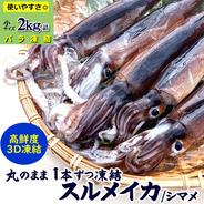 スルメイカ（冷凍）小 約1kg（8-11杯前後入）サイズが小さく、不揃い