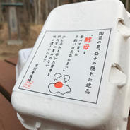 【酵母・平飼い卵72個（6個紙パック×12個お裾分け）】元気たまご72個 平飼い6個入りで12パック 果物や野菜などのお取り寄せ宅配食材通販産地直送アウル