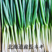 長ネギ1.8kg ｜ 野菜/ねぎ 産直アウル 農家・漁師など生産者から直接