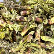 畑栽培のタラの芽 200g ｜ 野菜/山菜 産直アウル 農家・漁師など生産者