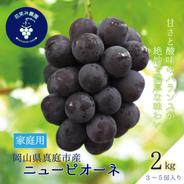 P-2家 花笑み農園 岡山の『ニューピオーネ』約２kg（３～５房）家庭用【9/6～順次発送】 約２ｋｇ（３～５房） 果物や野菜などのお取り寄せ宅配食材通販産地直送アウル