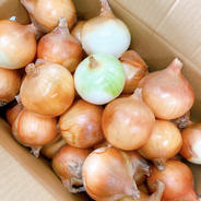 【数量限定】訳あり完熟淡路島たまねぎ10キロ 10kg 果物や野菜などのお取り寄せ宅配食材通販産地直送アウル