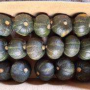 訳あり品】北海道産坊ちゃんかぼちゃ ｜ 野菜/かぼちゃ 産直アウル