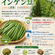 壱岐島産】日本ミツバチのはちみつ 1200g ｜ はちみつ/はちみつ 産直