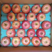 りんご サンふじ 中・小玉 5kg | 果物/りんご 産直アウル 農家から直接