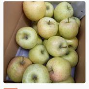 お試し品】濃厚サンふじ 小玉りんご ｜ 果物/りんご 産直アウル 農家