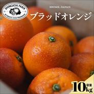 家庭用】ブラッドオレンジ 5kg 鮮やかな赤い果肉 希少柑橘 ｜ 果物