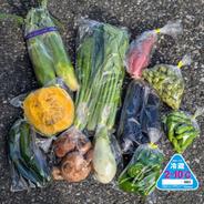 【関東へ配送の方】80サイズ箱いっぱい房総旬野菜詰め合わせ（80サイズ箱） 80サイズ箱いっぱい 果物や野菜などのお取り寄せ宅配食材通販産地直送アウル