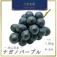 若桃.青桃【4kg】 ｜ 果物/もも 産直アウル 農家・漁師など生産者から