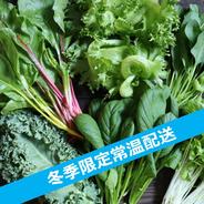 冬季限定常温配送（寒冷地不可）/ココワークのおまかせ野菜セット 500g 果物や野菜などのお取り寄せ宅配食材通販産地直送アウル