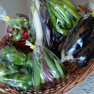 【9月アウルの日限定】タナベfarm夏野菜セット３キロ ３キロ 果物や野菜などのお取り寄せ宅配食材通販産地直送アウル