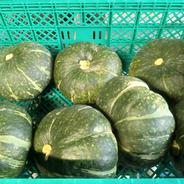 お買い得！訳アリかぼちゃ(10kg) 値段高騰中！！ 訳アリかぼちゃ　10㌔ 果物や野菜などのお取り寄せ宅配食材通販産地直送アウル