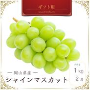 大人気‼岡山県産シャインマスカット＆ピオーネ いろどりセット2kg