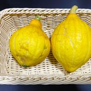 【訳あり】コリンキー6kg 【訳あり】コリンキー6kg 果物や野菜などのお取り寄せ宅配食材通販産地直送アウル