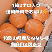 送料無料＊和歌山県産 ご家庭用たねなし柿 約2キロ 約2キロ　(5玉〜8玉前後) 果物や野菜などのお取り寄せ宅配食材通販産地直送アウル
