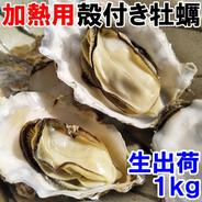 【10％OFF設定中】加熱用牡蠣　１ｋｇ１名様用 生牡蠣 宮城県産 殻付き 牡蠣 殻付き牡蠣 殻付 カキ 加熱調理用 加熱用1kg 果物や野菜などのお取り寄せ宅配食材通販産地直送アウル