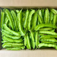 訳あり、茶豆風味の枝豆「湯上がり娘」3kg ｜ 野菜/豆類 産直アウル