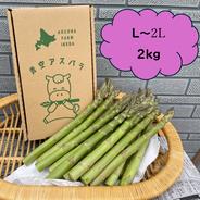 夏のご挨拶に！北海道産夏の青空アスパラ（2Lサイズ1kg） ｜ 野菜