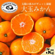安心安全‼️和歌山県産　大玉レモン　10kg みかんキング 大玉サイズ限定】五代目が厳選した愛媛みかん 10kg ｜ 果物/温州みかん