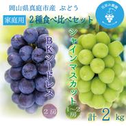 BS-2家　花笑み農園　岡山の『BKシードレス＆シャインマスカット』約2kg　家庭用【9/21～順次発送】 約２ｋｇ 果物や野菜などのお取り寄せ宅配食材通販産地直送アウル