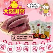 【春の福袋】🍠おまけ付き🍠 ② アグロファームの『紅はるか』大感謝福袋 ② 90日間貯蔵 熟成芋!! 2.5kg!!! べにはるか 2.5kg、干し芋『蜜千姫』 2袋 ＋ おまけ付き 果物や野菜などのお取り寄せ宅配食材通販産地直送アウル