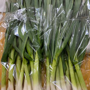 葉ニンニク 2キロ 果物や野菜などのお取り寄せ宅配食材通販産地直送アウル