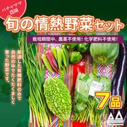 香りが違う！採れたて新鮮パクチー1kg｜エスニック料理に