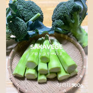 新米 玄米 SAKAVEGE米🌾 ｜ 米・穀物/玄米 産直アウル 農家・漁師など