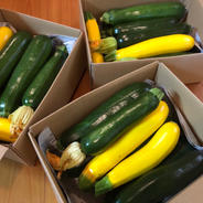 夏野菜第1弾‼️自然栽培べっぴんやさいズッキーニBOX（約2kg） 約2kg（8〜10本程度） 果物や野菜などのお取り寄せ宅配食材通販産地直送アウル
