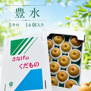 梨 幸水 秀品 5キロ 14個入 ｜ 果物/梨 産直アウル 農家・漁師など生産