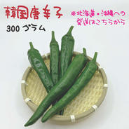 【北海道・沖縄専用】韓国唐辛子 約300g 宮崎産 青唐辛子 フレッシュ 収穫後農園から直送 約300g 果物や野菜などのお取り寄せ宅配食材通販産地直送アウル