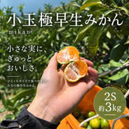 濃厚な甘さ！不知火（しらぬい）約2.5kg 愛媛県産 ｜ 果物/オレンジ
