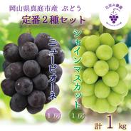 PS-1　花笑み農園　岡山の『ピオーネ＆シャインマスカット』1kg【9/18～順次発送】 １ｋｇ（ニューピオーネ１房、シャインマスカット１房） 果物や野菜などのお取り寄せ宅配食材通販産地直送アウル