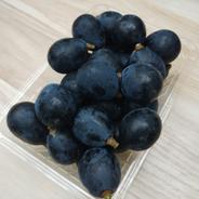 ナガノパープル粒パック1kg ｜ 果物/ぶどう 産直アウル 農家・漁師