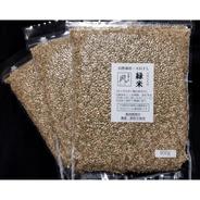 無肥料・自然栽培の古代もち米 緑米（玄米/R7年産）800g【チャック袋