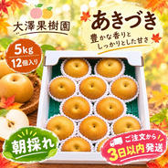 豊水梨 20個 大玉 秀品 5キロ箱 2箱 ｜ 果物/梨 産直アウル 農家
