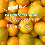 北海道沖縄にお住まいの方専用　バレンシアオレンジ　混サイズ5kg 5kg 果物や野菜などのお取り寄せ宅配食材通販産地直送アウル