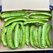 鹿児島産】甘塩生落花生箱込み5キロ^_^ ｜ 野菜/豆類 産直アウル 農家