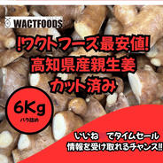 高知県産親生姜5Kg(カット済み) ｜ 野菜/薬味 産直アウル 農家・漁師