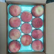 桃　訳あり品　品種・サイズおまかせ　3kg 3kg (6～14個程度) 果物や野菜などのお取り寄せ宅配食材通販産地直送アウル