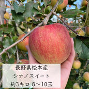 長野県松本産 りんご【シナノスイート】 約5キロ 12〜16玉 | 果物